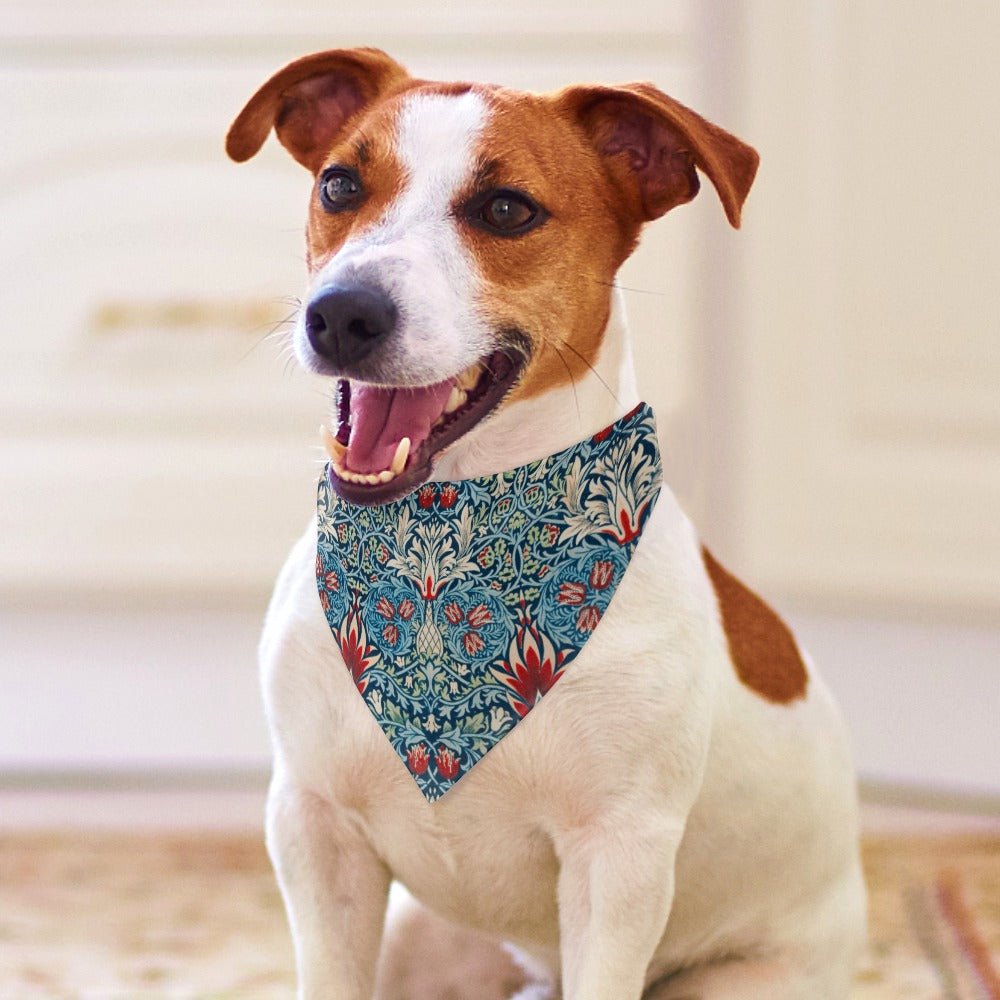 Pet Supply Morris Snakeshead Scarf for Daily Use for Comfort - close up product image for pet supply