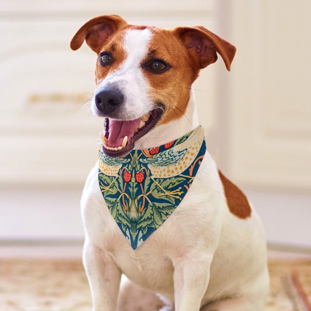 Pet Supply Morris Strawberry Thief Scarf for Daily Use Essen - close up product image for pet supply