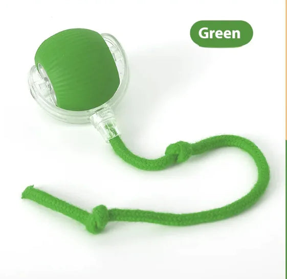 Mimarta motion activated cat ball with chirping sound in green color with a string for interactive play