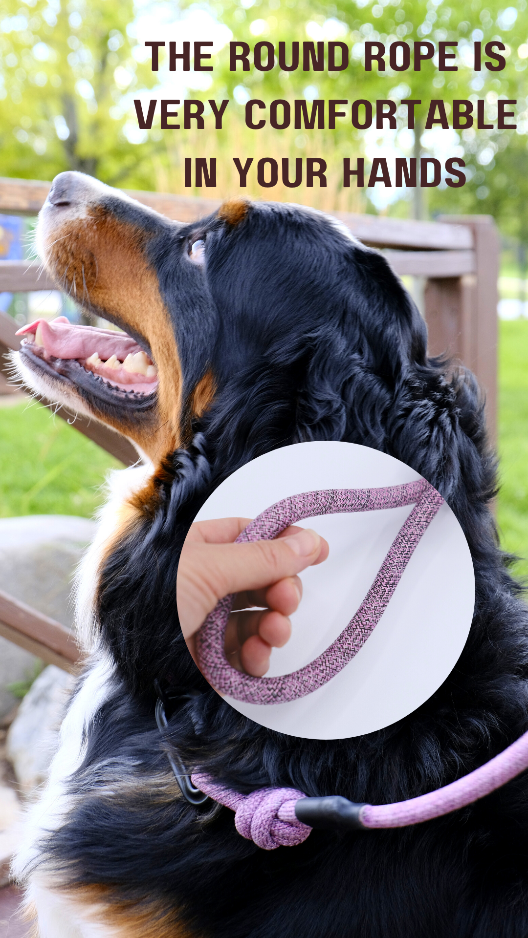 Close-up of a mountain climbing rope dog leash with a comfortable round grip next to a happy dog outdoors