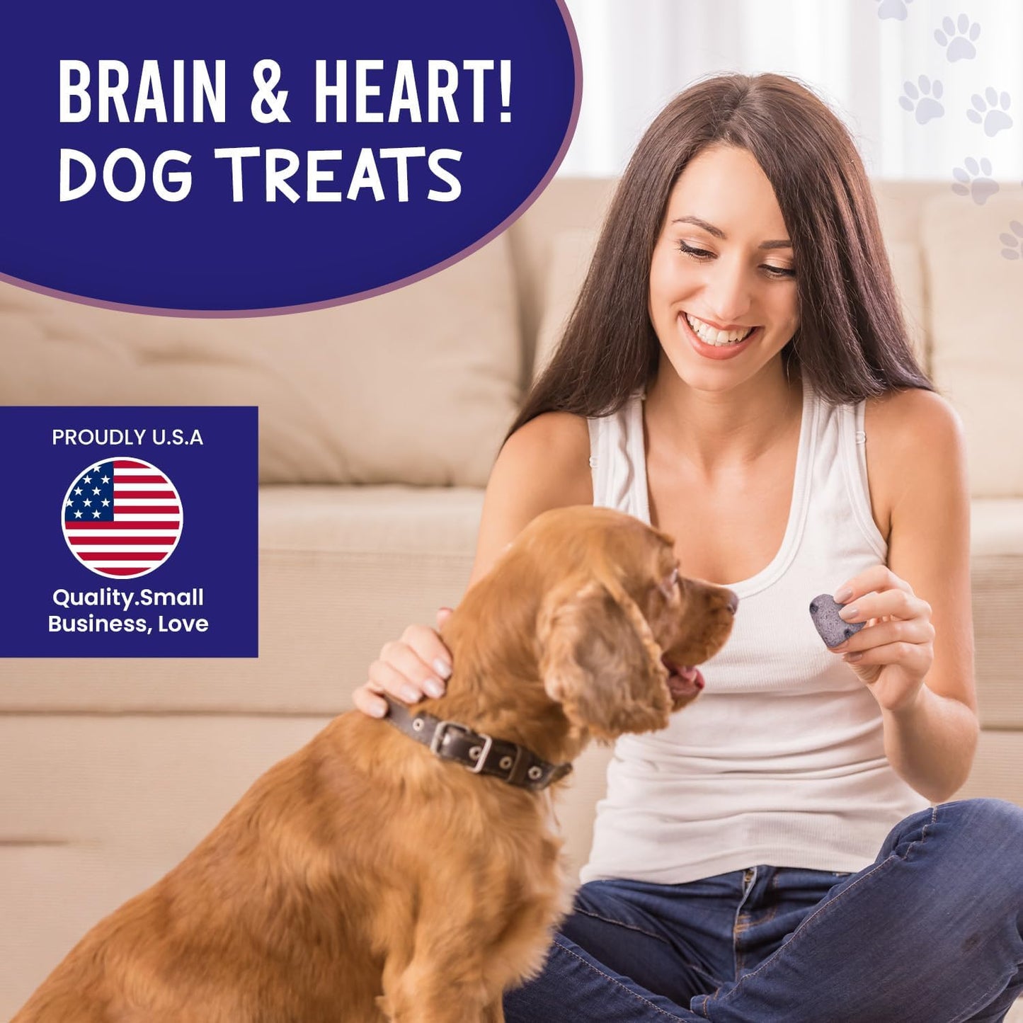 Happy owner training dog with blueberry dog training treats in a cozy setting