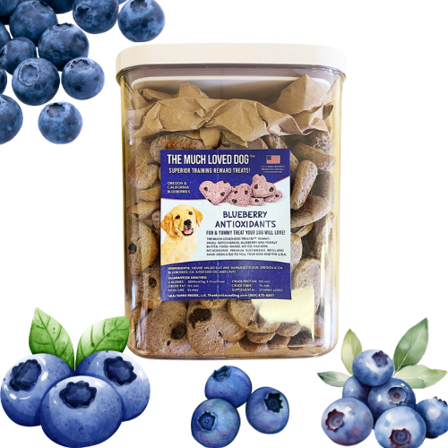 HealthPro LLC Blueberry Dog Training Treats in a jar with blueberries for healthy dog rewards