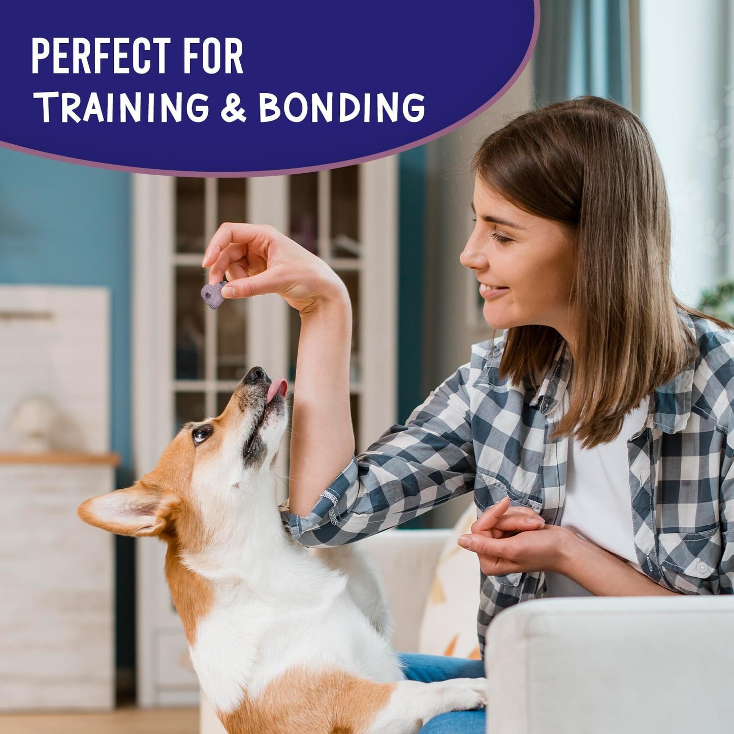 A woman training her dog with blueberry dog training treats for positive reinforcement and bonding