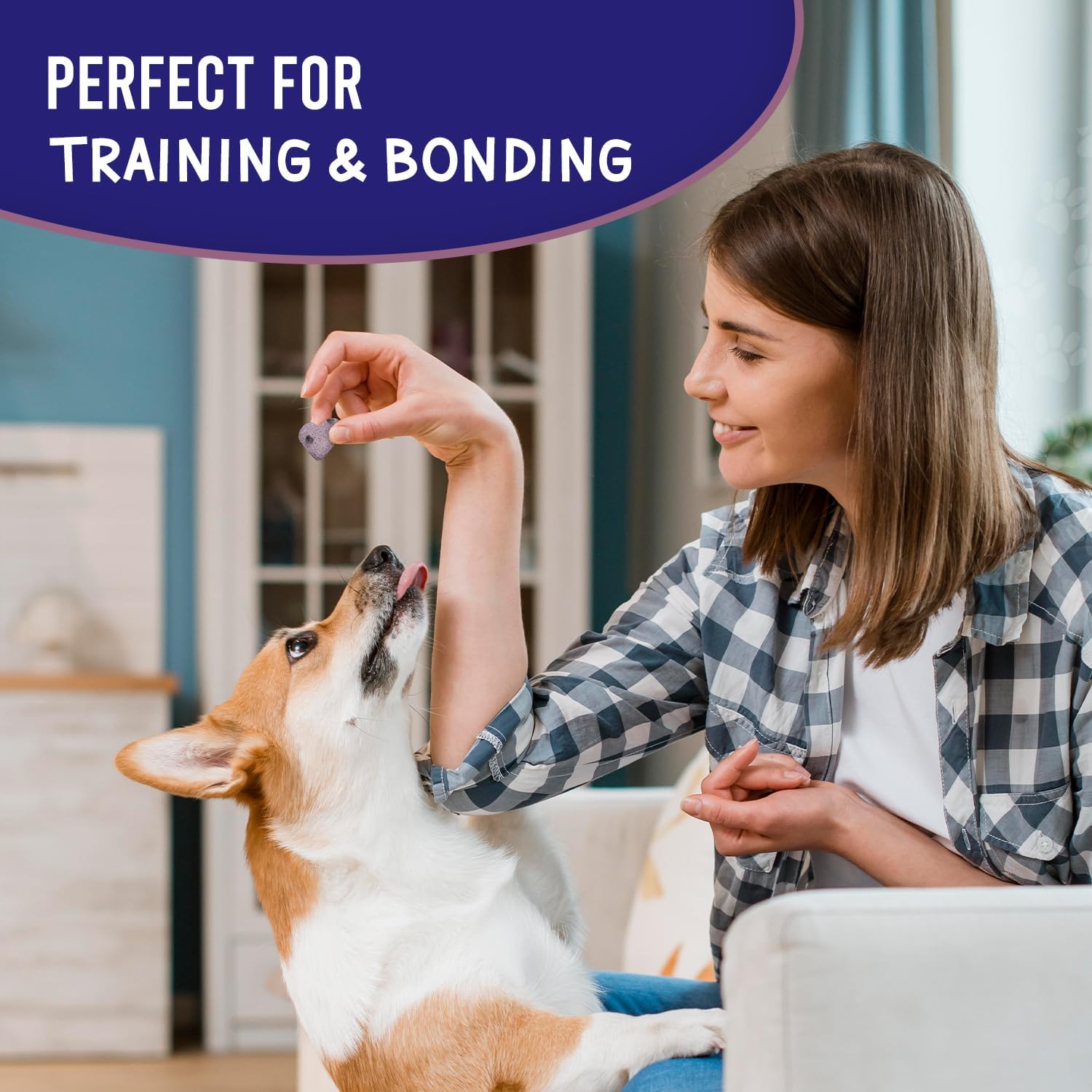 A woman training her dog with blueberry dog training treats for positive reinforcement and bonding