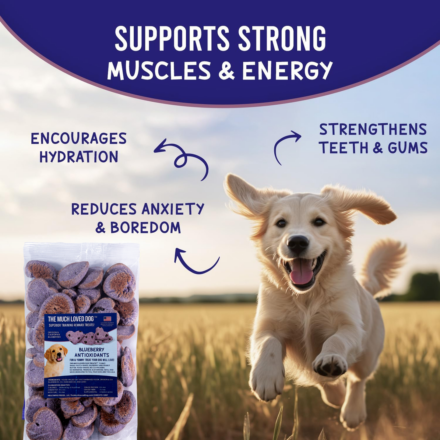 Much Loved Dog Training Treats - Blueberry Antioxidant 6 oz.