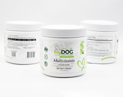 Daily Multivitamin Soft Chews for Dog Vitality and Wellness