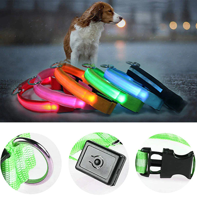 Royal Luminous Safety Pet Collar Adjustable LED Night Visibility 💡👑