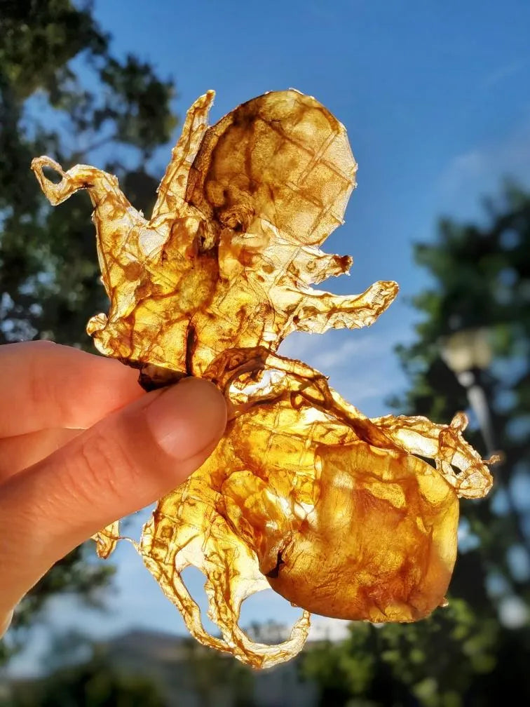 Naked Beasts - Fresh Wild Caught Baby Octopus for Gourmet Pet Nutrition - Dog Treats