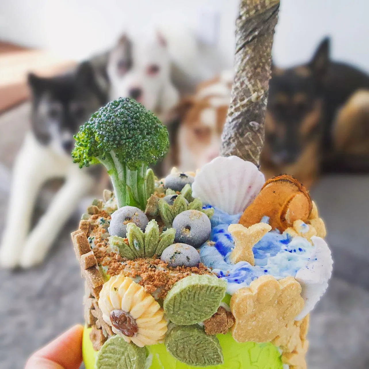 Naked Beasts - Green Lipped Mussel Dog Treats for Joint Support & Mobility - Dog Treats