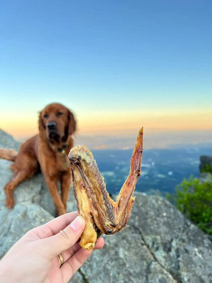 Naked Beasts - Naked Beasts Antibiotic Free Duck Wings Dog and Cat Treats - Dog Treats