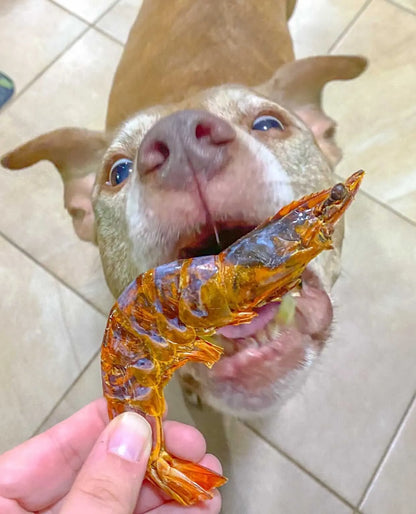 Naked Beasts - Natural Dried Shrimp Dog Treats Healthy Protein Snack 100g - Dog Treats