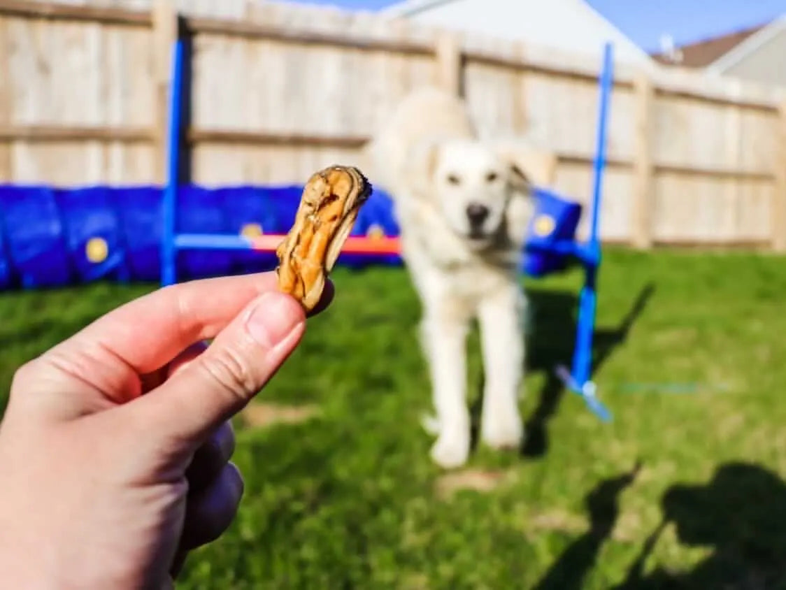 Naked Beasts - Premium Green Lipped Mussel Joint Support Dog Treats by Nak - Dog Treats