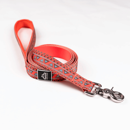 Purrfect Pet Kingdom Durable Natchez Dog Leash - Red Purrfect Pet Kingdom