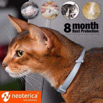 Purrfect Pet Kingdom flea and tick collar on cat providing long-lasting cat tick prevention for eight months