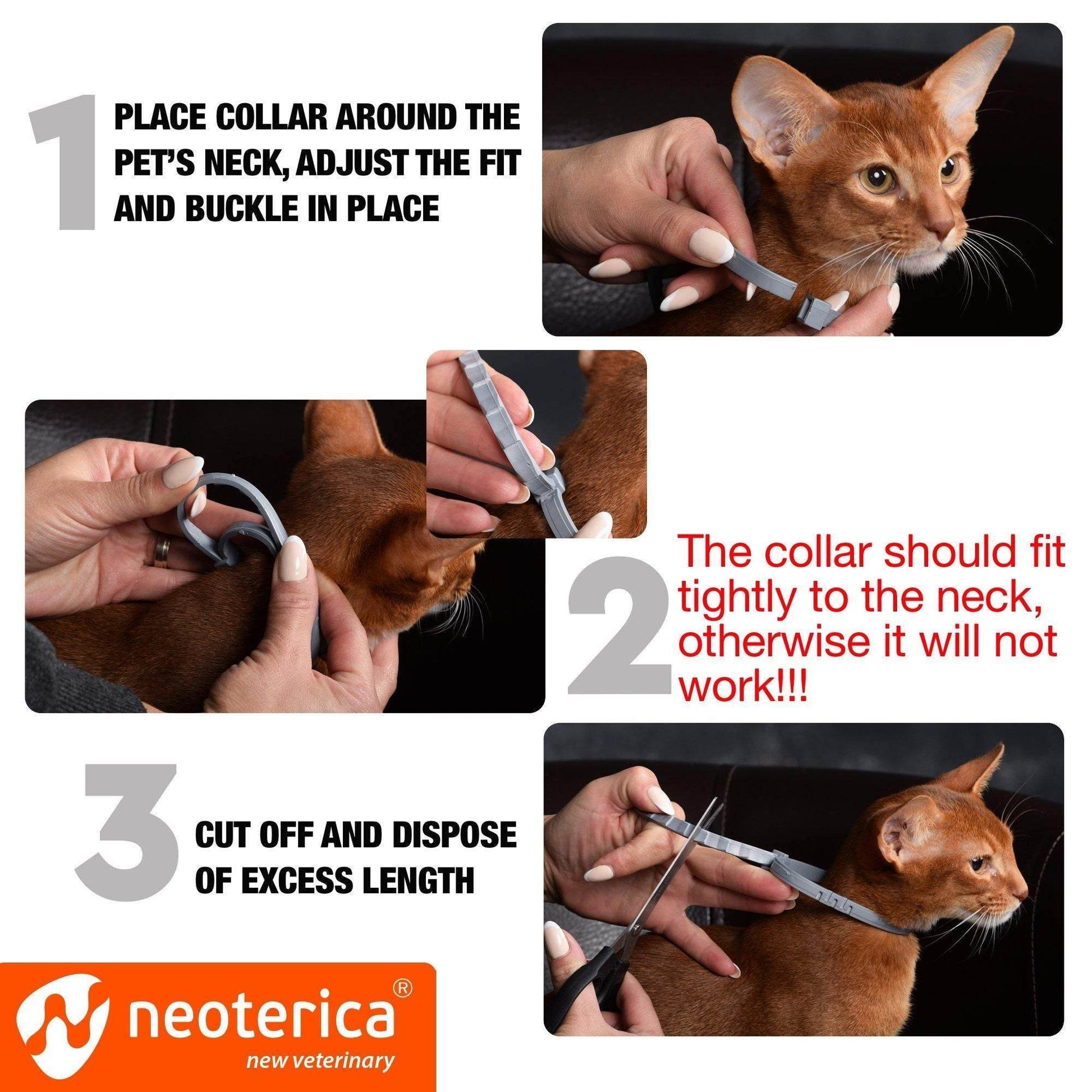 Purrfect Pet Kingdom Rolf Bio Long-Lasting Cat Tick Prevention Collar Purrfect Pet Kingdom
