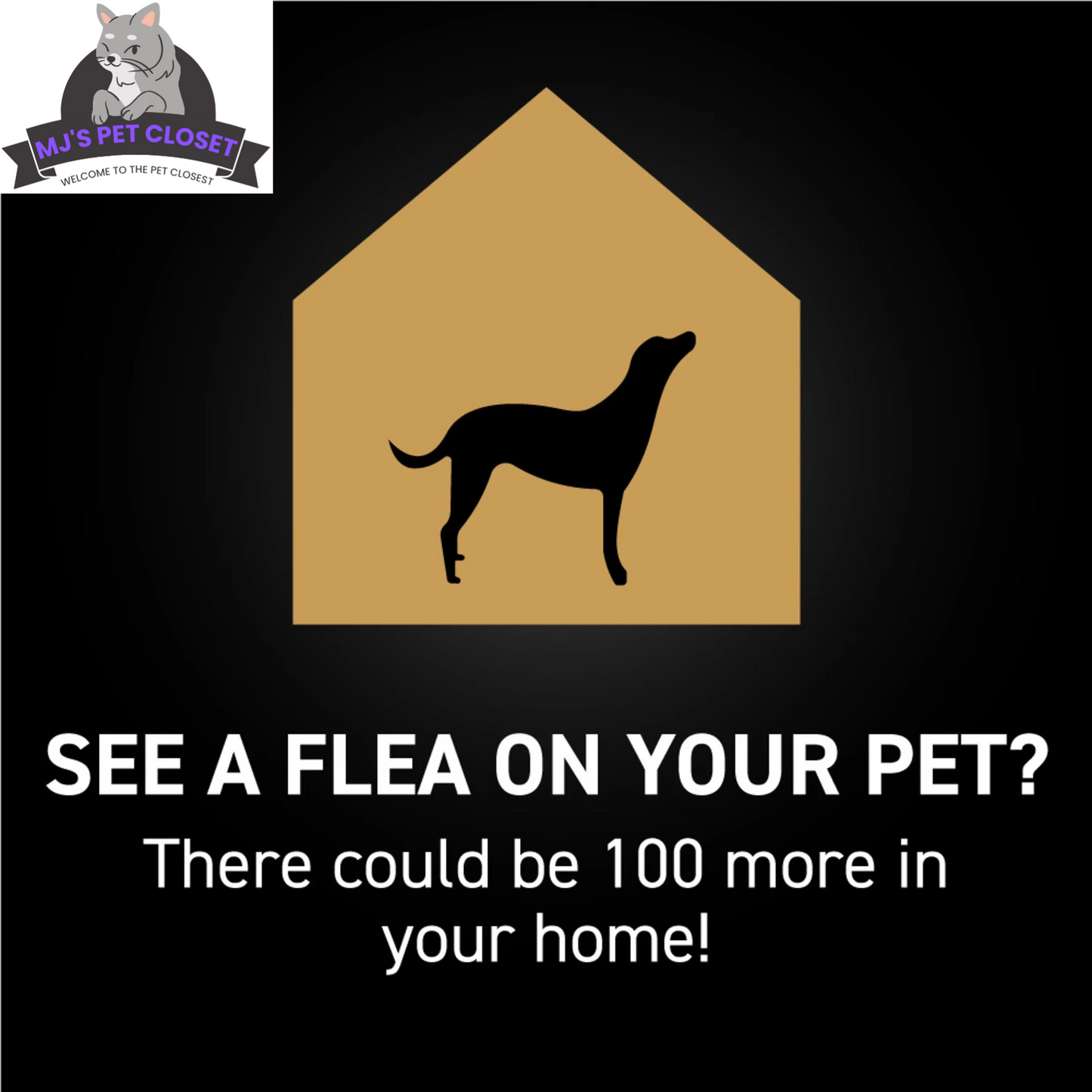 Purrfect Pet Kingdom dog flea and tick prevention 2 pack with essential protection for your dog