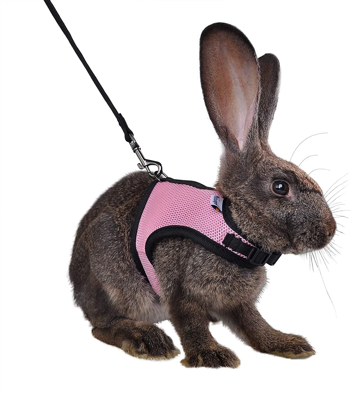 Soft harness for rabbits pink medium designed for comfort and safety while walking
