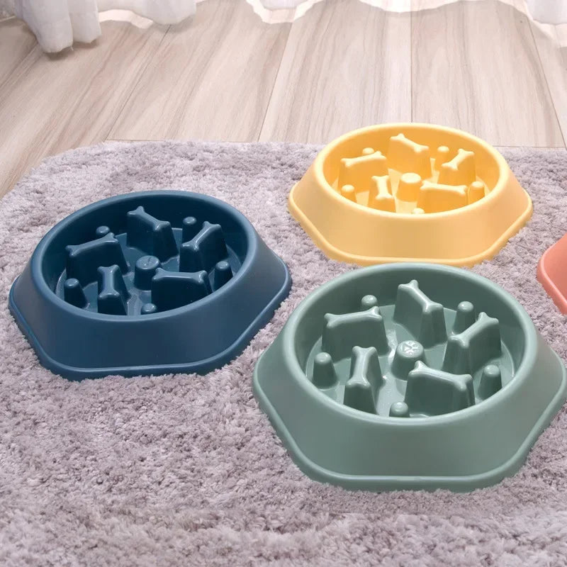 Colorful non slip slow feeder dish for dogs designed to promote healthy eating habits