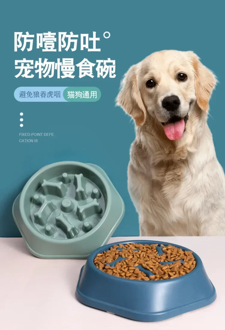 Non slip slow feeder dish for dogs with patterned surface to promote healthy eating habits
