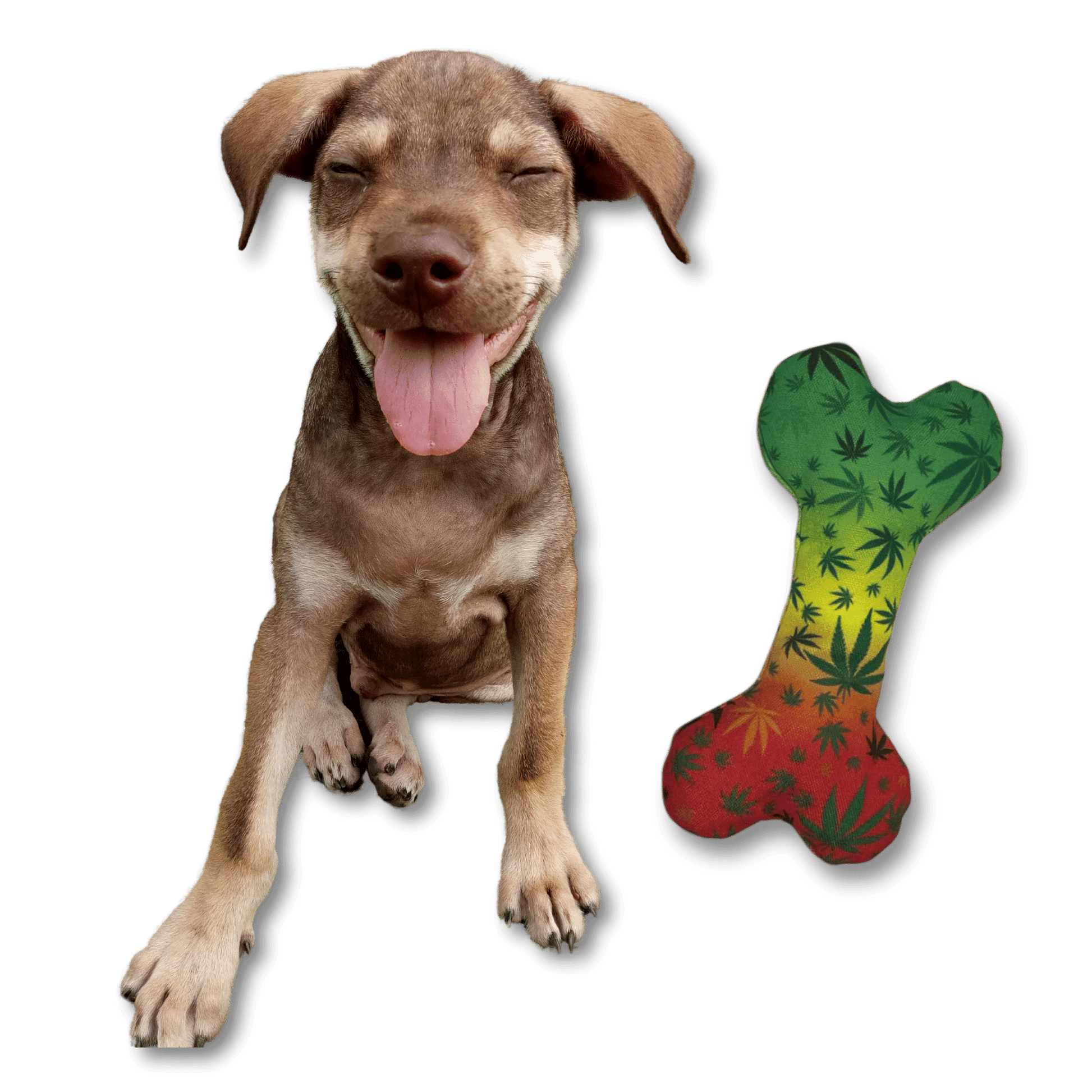 Happy dog with colorful chew toy featuring leaf patterns novelty dog photo prop by Purrfect Pet Kingdom