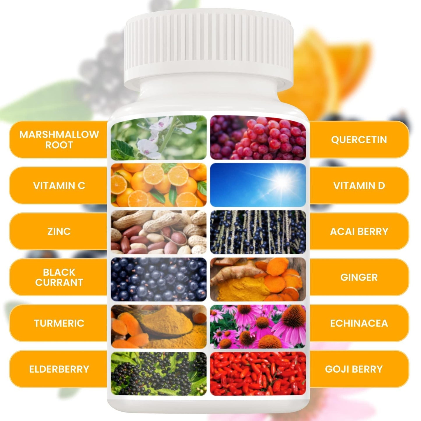Purrfect Pet Kingdom Premium Pet Immune Defense Capsules Purrfect Pet Kingdom