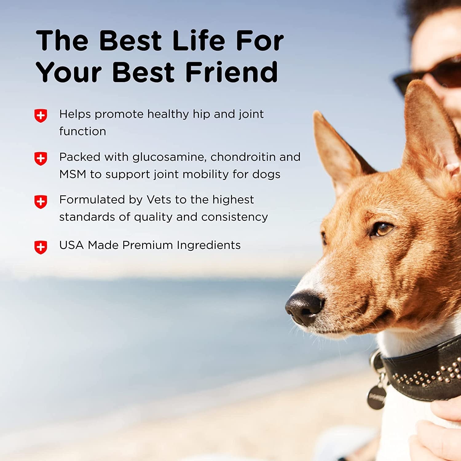 Purrfect Pet Kingdom dog arthritis relief supplement promoting joint mobility and healthy hips for dogs