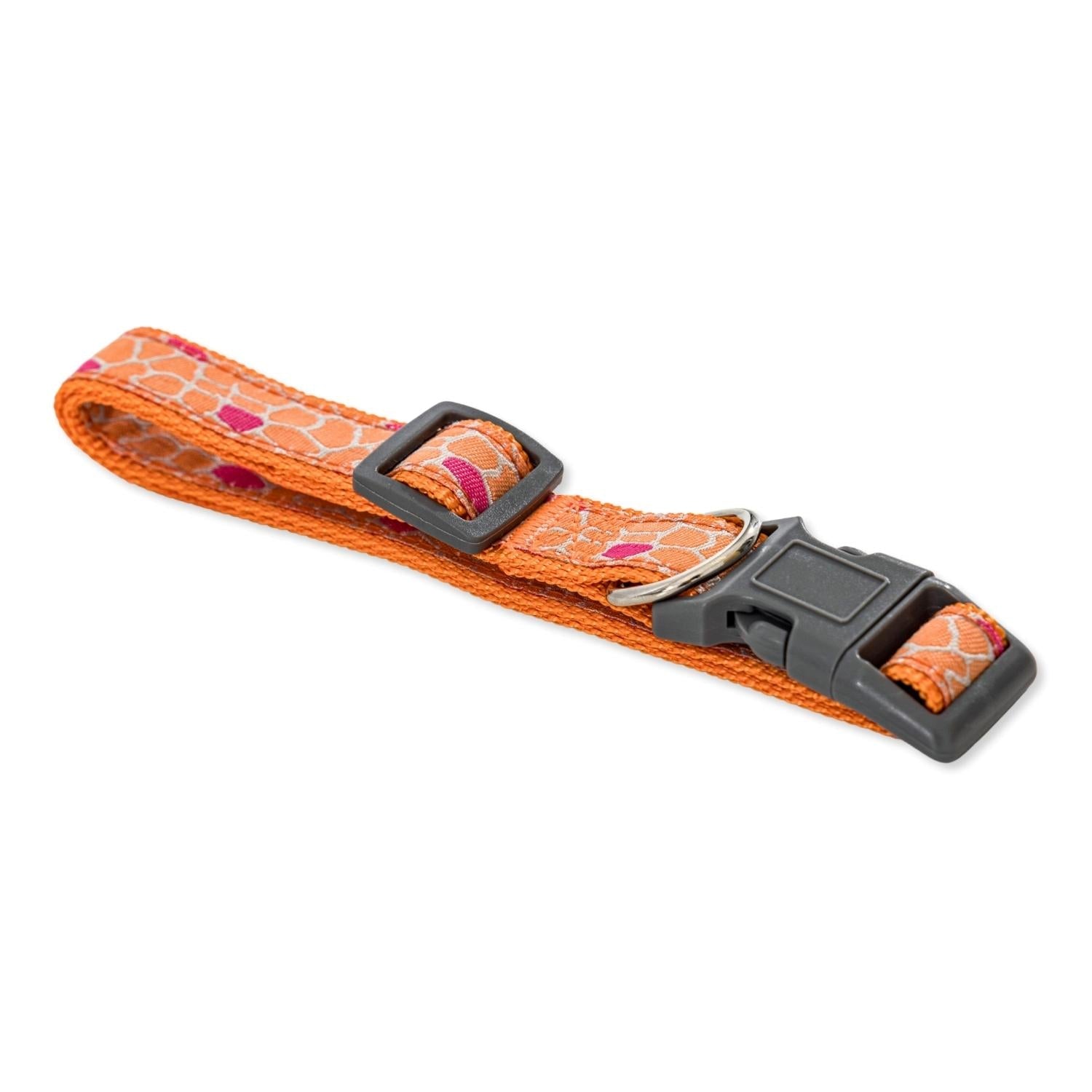 Bright orange nylon embroidered dog collar with adjustable buckle and colorful design