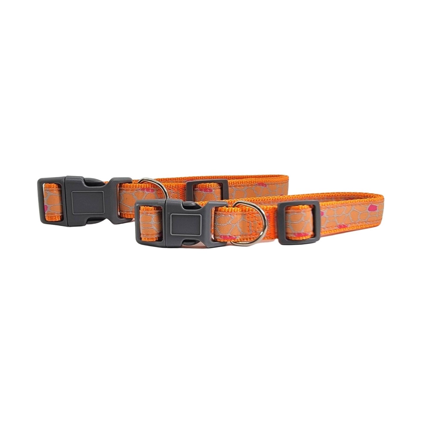 Purrfect Pet Kingdom nylon embroidered dog collar in bright orange with adjustable buckle and D-ring