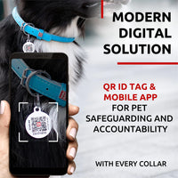 Ultra Soft Rolled Leather Dog Collar for Small Dogs   Soft