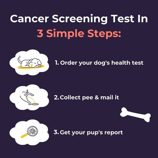 Oncotect Essential At-Home Dog Cancer Screening Test Kit - detail view