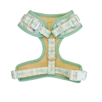 Oopsie Daisy Adjustable Dog Harness by Purrfect Pet Kingdom in breathable neoprene, available in X-Small, Small, and Mediu...