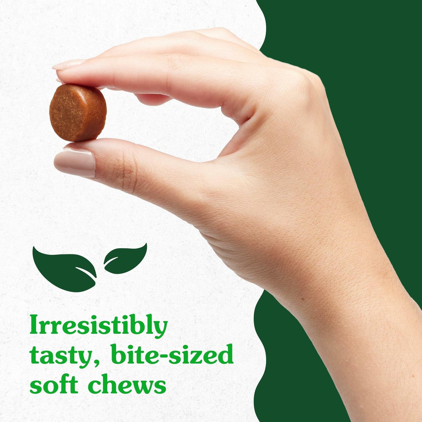 2/25 Greenies Supplements Hip and Joint Supplements for Dogs, Chicken Flavor, - Purrfect Pet Kingdom