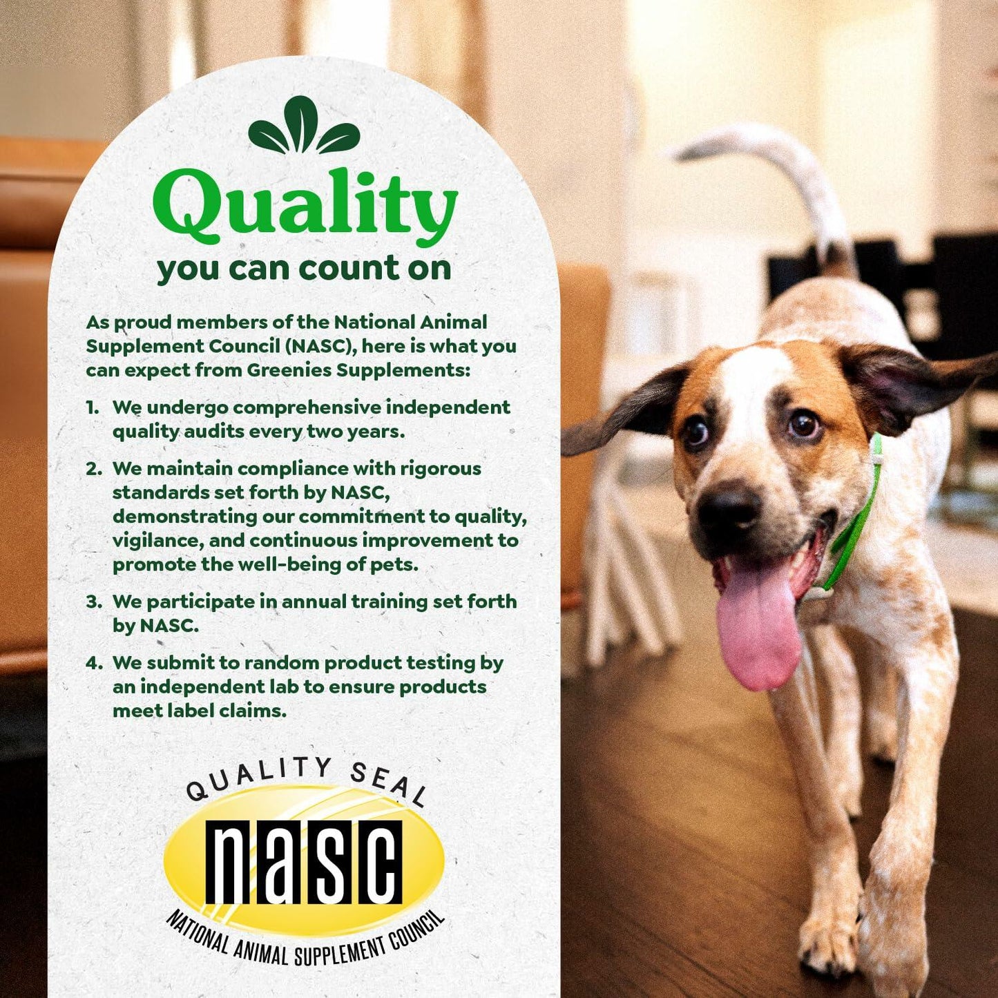 2/25 Greenies Supplements Hip and Joint Supplements for Dogs, Chicken Flavor, - Purrfect Pet Kingdom