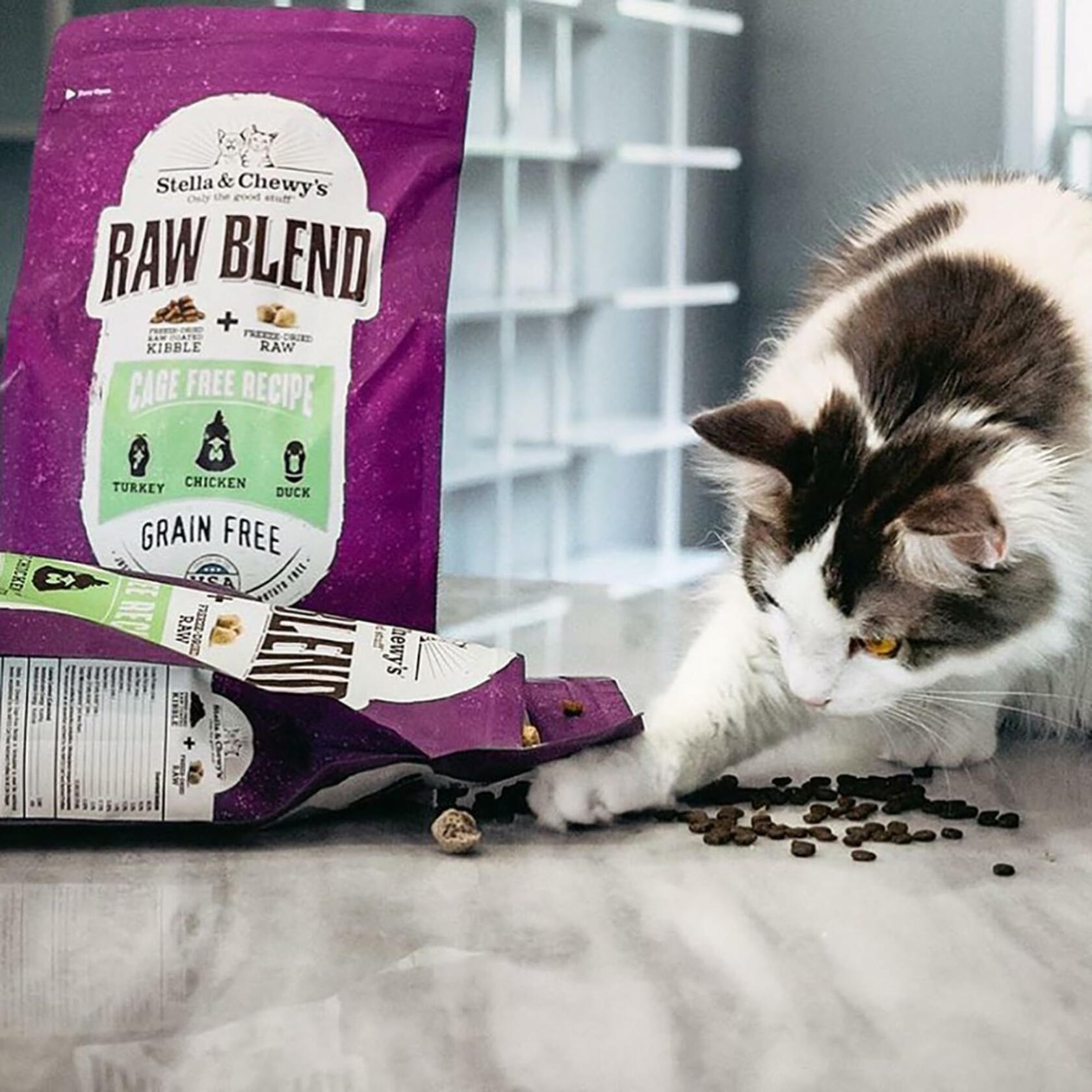 BB01/25 Stella & Chewy's Raw Blend Cat Food 2.5 lb Grain Free Protein Rich Poultry - Stella & Chewy Cat Food - Deal US