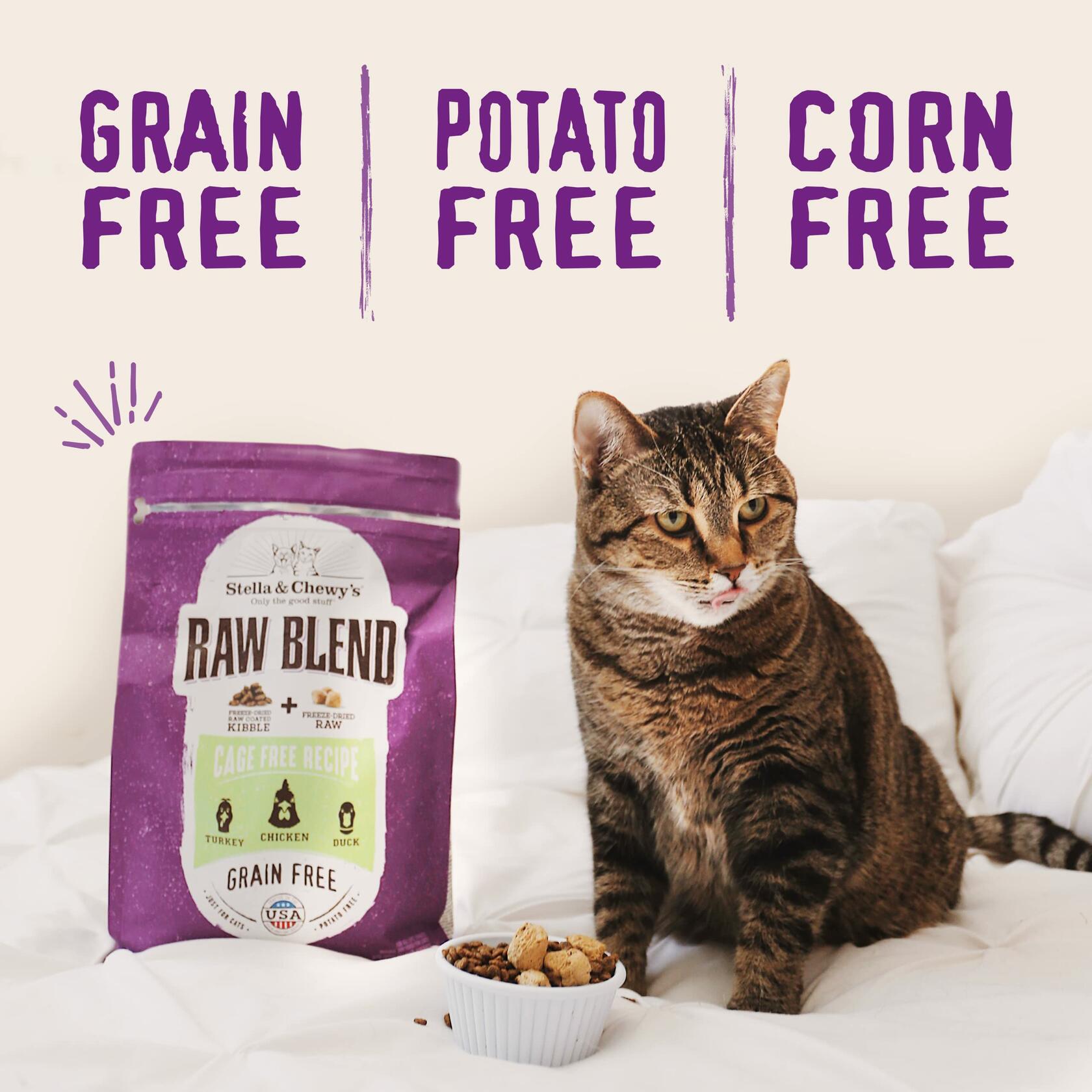 BB01/25 Stella & Chewy's Raw Blend Cat Food 2.5 lb Grain Free Protein Rich Poultry - Stella & Chewy Cat Food - Deal US
