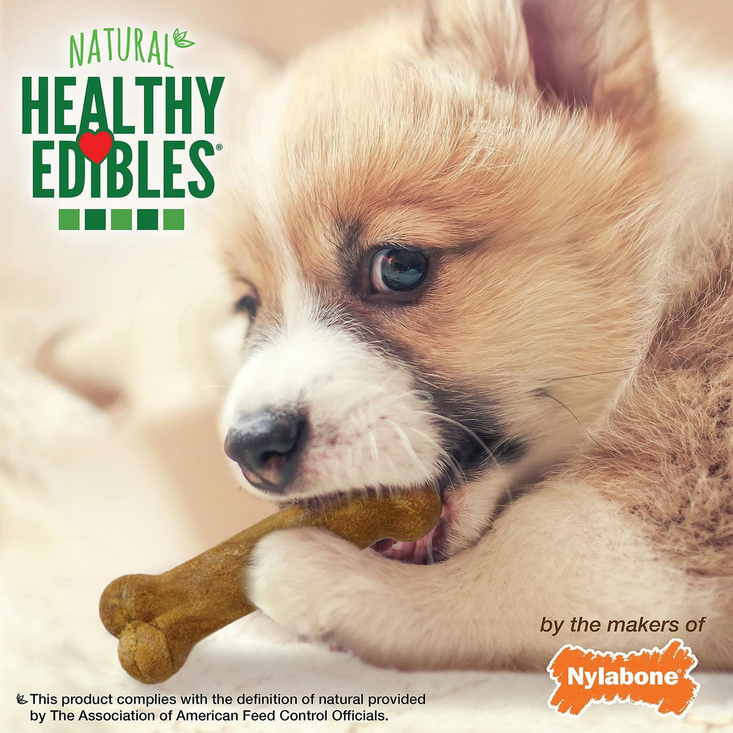 BestBy07/27 Nylabone Healthy Edibles Puppy Chews X - Small 3 Count Roast Beef - Dog Chews & Treats - Deal US