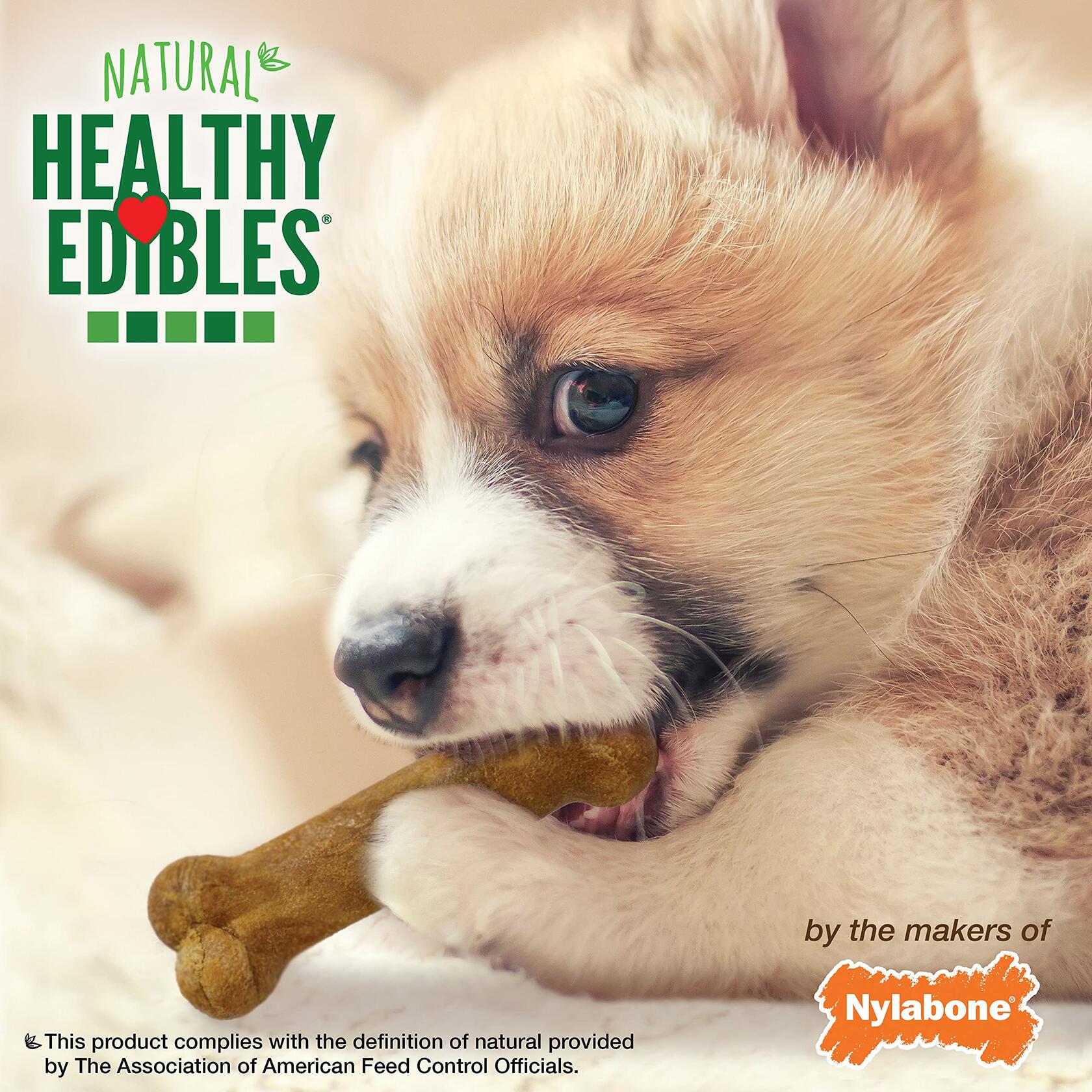 BestBy07/27 Nylabone Healthy Edibles Puppy Chews X - Small 3 Count Roast Beef - Dog Chews & Treats - Deal US