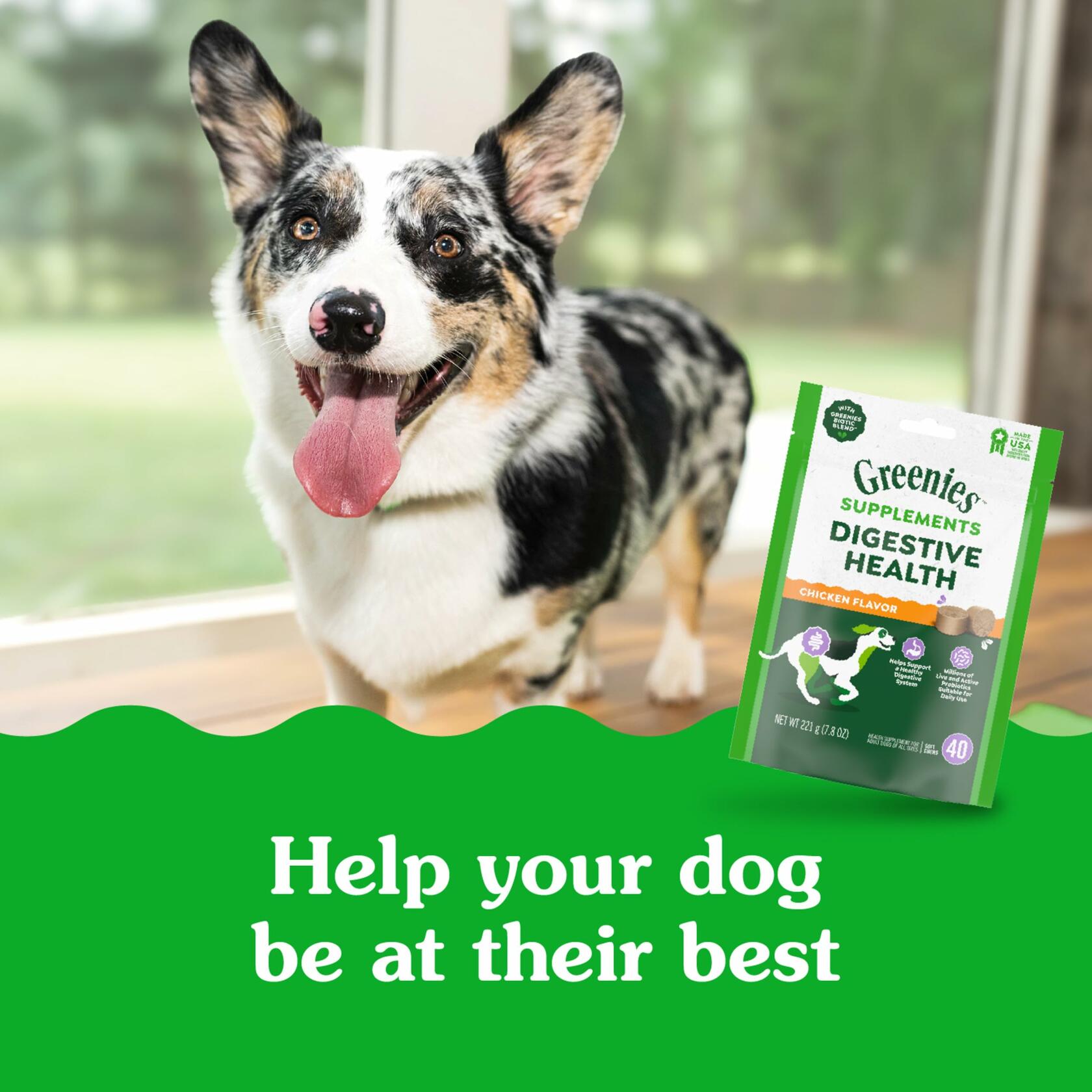 BestBy01/25 Greenies Digestive Health Probiotics DogTreats Chicken 7.8oz 40ct - Dog Chews & Treats - Deal US