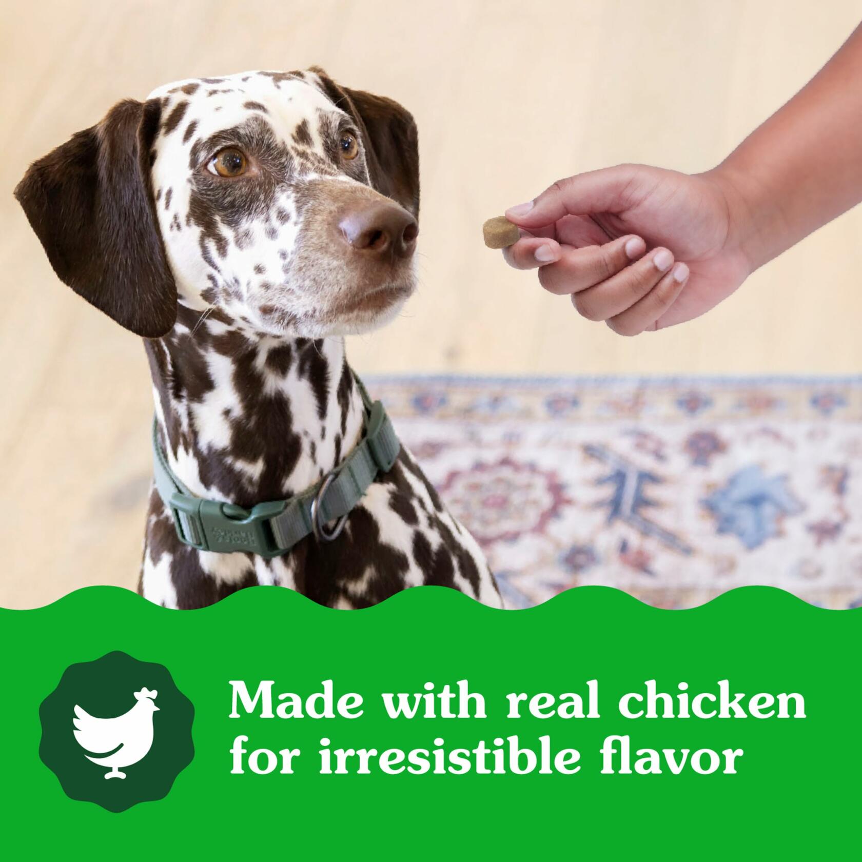 BestBy01/25 Greenies Digestive Health Probiotics DogTreats Chicken 7.8oz 40ct - Dog Chews & Treats - Deal US