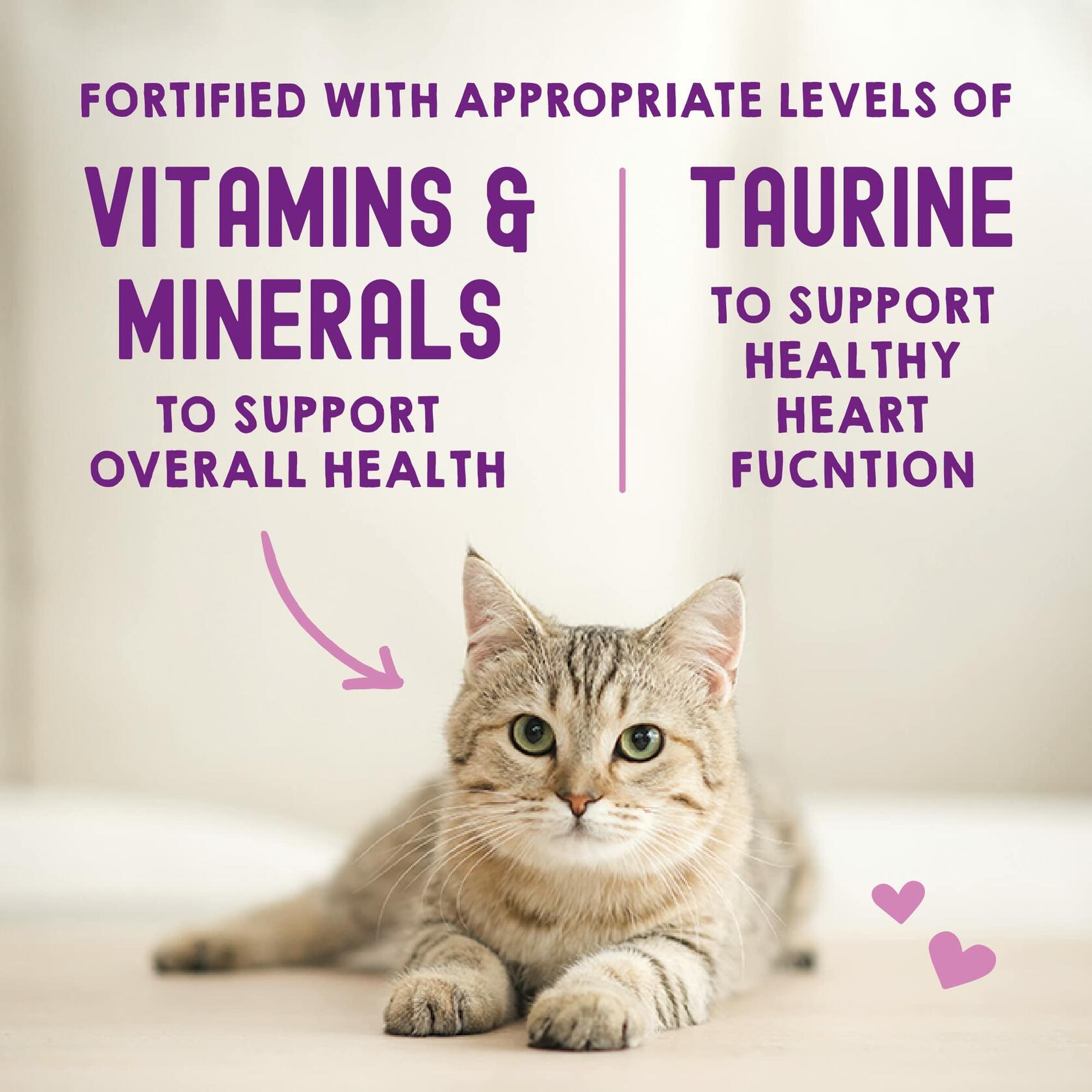 BestBy04/25 Stella & Chewy’s Carnivore Cravings Chicken & Beef 12x2.8oz Wet Cat - Stella & Chewy Cat Food - Deal US