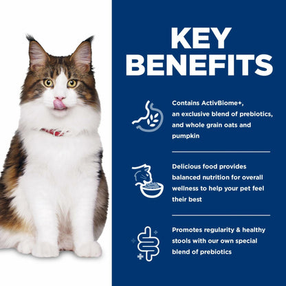 Premium Chicken and Brown Rice Dry Cat Food for Adult Cats