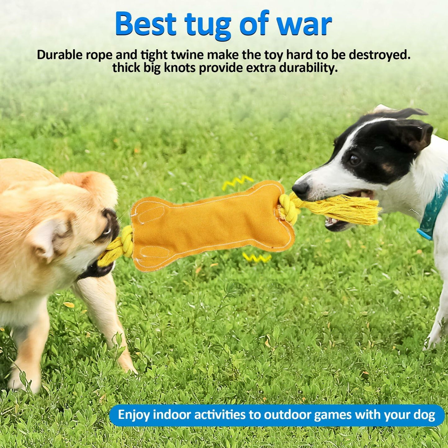 BENTOPAL Interactive Squeaky Dog Bone Toy Motion Activated Small Puppy - Toys - Deal US