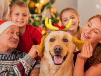 PAJXNJC Deer Antler Headband Set Dog Ears Nose Bow Tie Tail Gloves Yellow