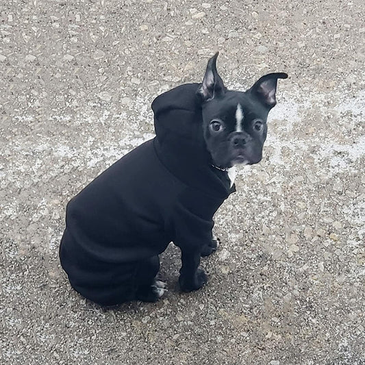 LifeWheel Pet Hoodie Fleece Jumpsuit Winter Warm Cotton Black + Pink Size S M L - Purrfect Pet Kingdom