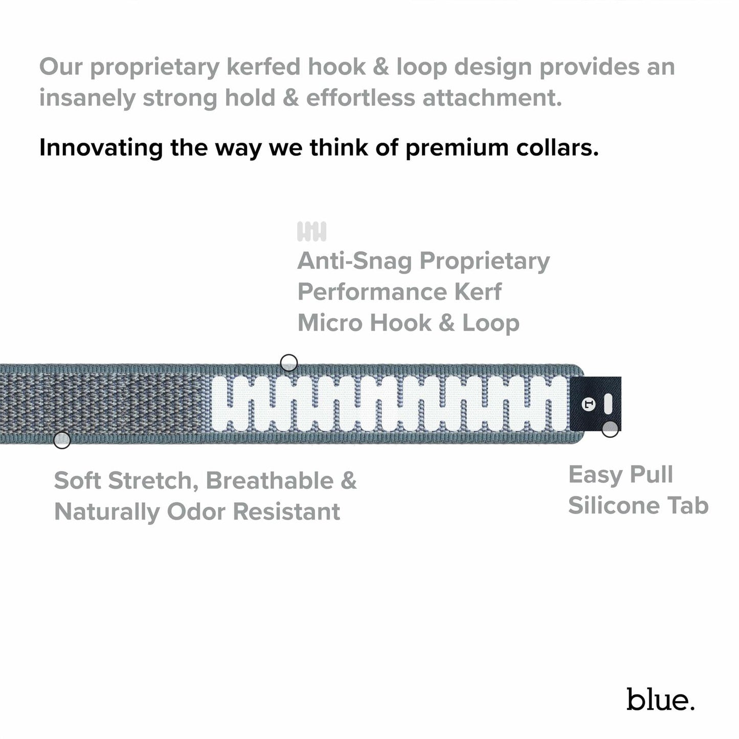 Premium Dog Collar by Blue Small Feathered Rose - Purrfect Pet Kingdom