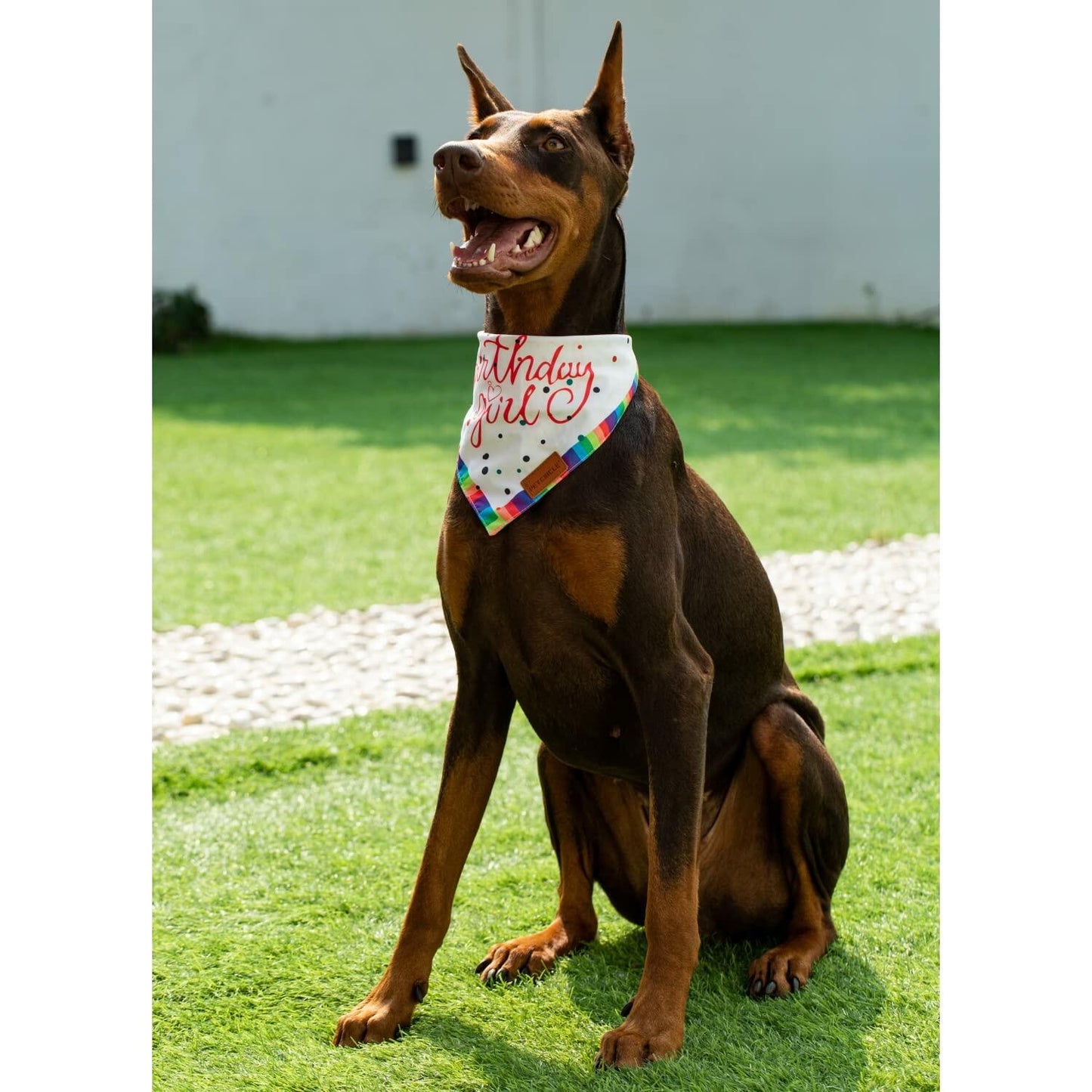 Big Brother Bandana Dog Birthday Double Layer Fabric Blue X-Large Size XL