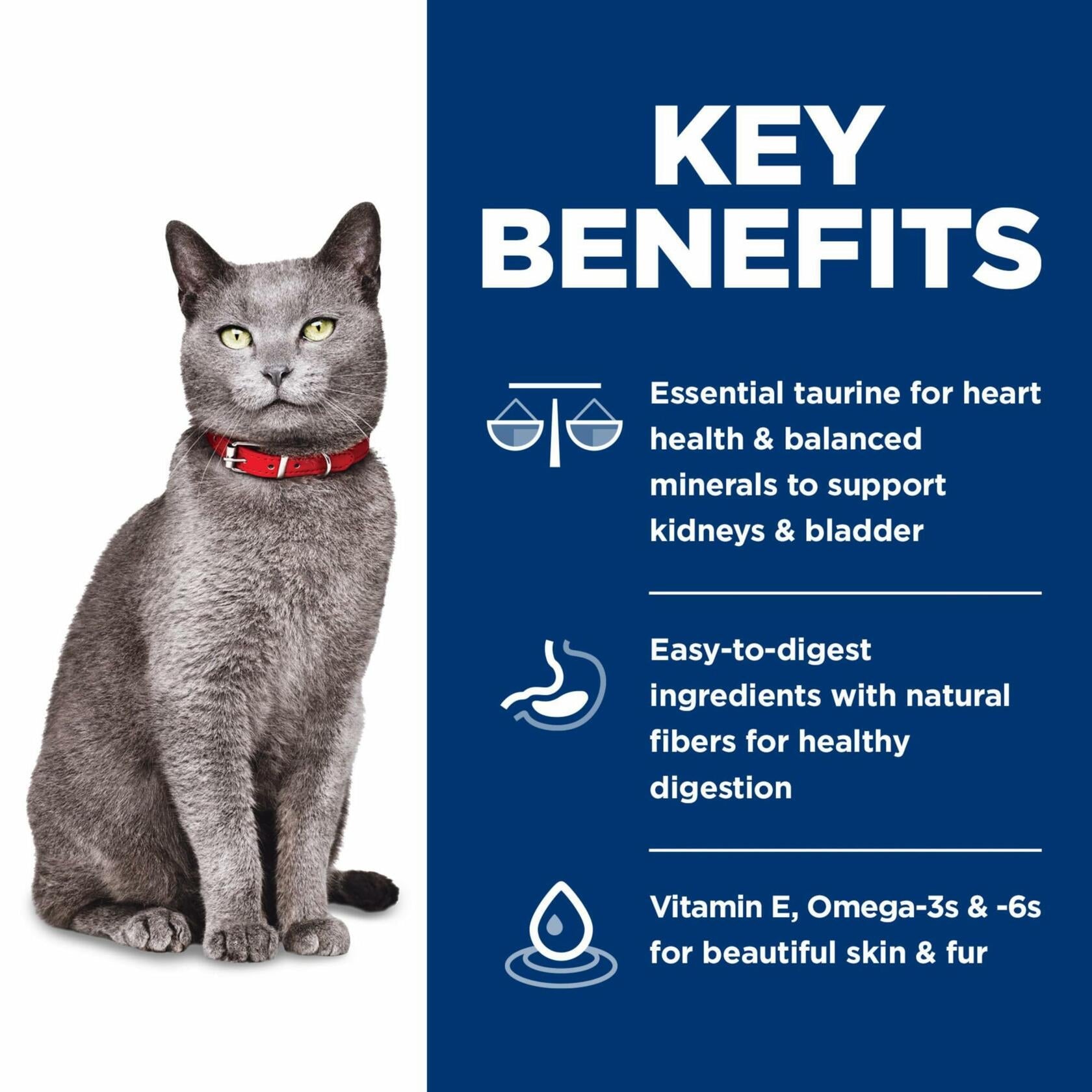 BestBy12/25 Hill's Science Diet Adult 7+ Dry Cat Food Chicken Brown Rice 3.5 lb - Science Diet Cat Food - Deal US