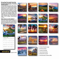 Gag Gift 2025 Wall Calendar Funny White Elephants Pooping