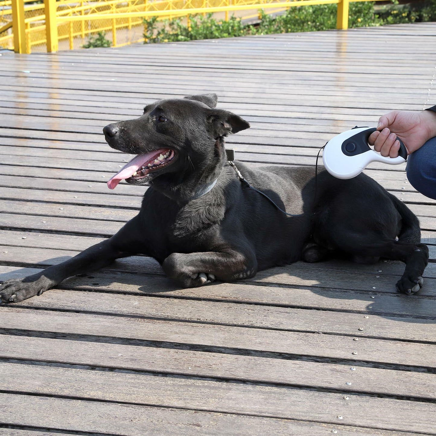 Retractable Dog Leash Heavy Duty 16ft Reflective Nylon Tape Orange 88lbs