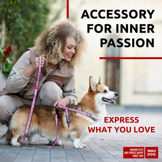 WAUDOG Nylon Dog Leash Heavy Duty 4 Ft for Small & Medium Dogs